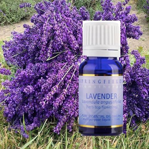 FRENCH LAVENDER ESSENTIAL OIL